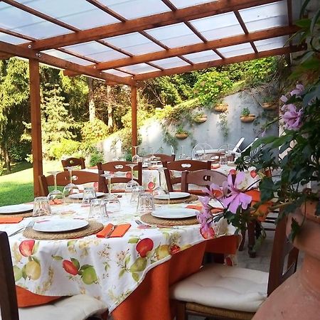 Casa Vacanze Il Noce Sovere Dış mekan fotoğraf